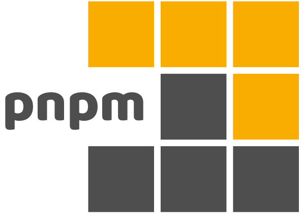 Pnpm Wordmark Light