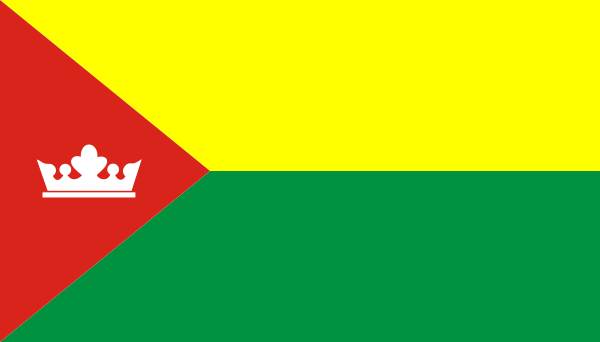 POL Trzcianka Flag