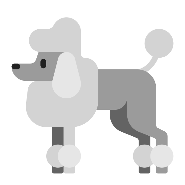 Poodle Flat Vector