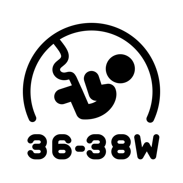 Pregnant 3638w