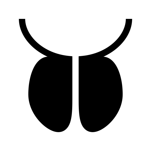 Prostate