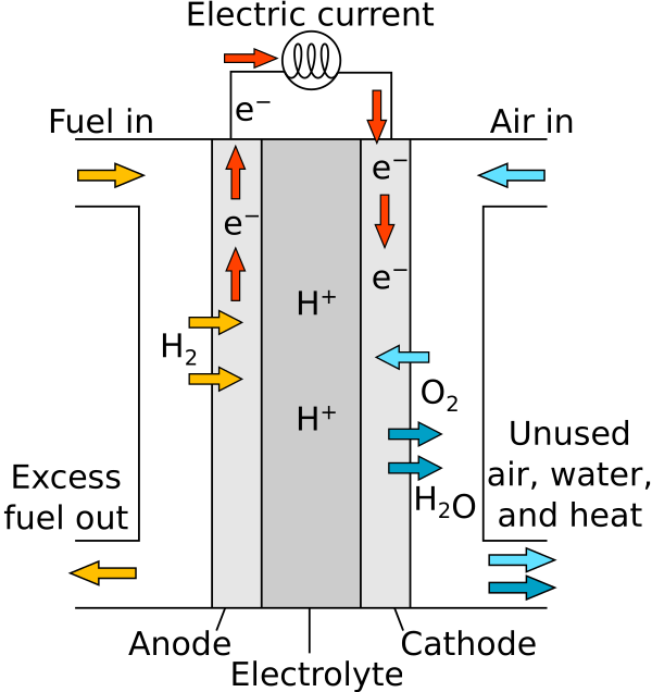 Proton Exchange Fuel Cell Diagram