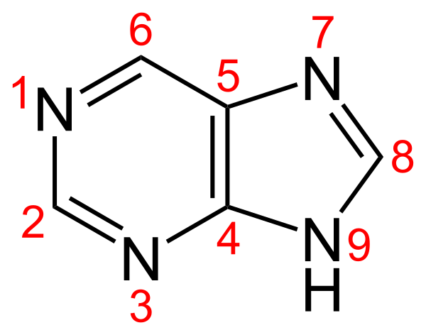 Purin Num2