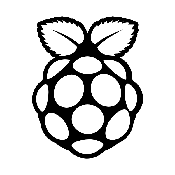 Raspberry Pi Vector