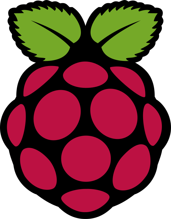 Raspberry Pi Vector