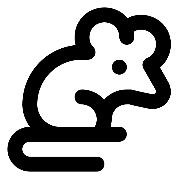 Rat