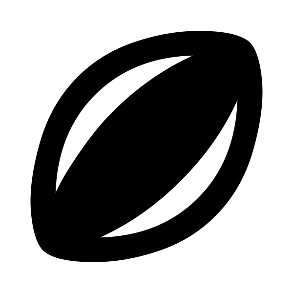 Rugby