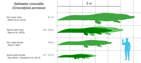 Saltwater Crocodile Scale Chart