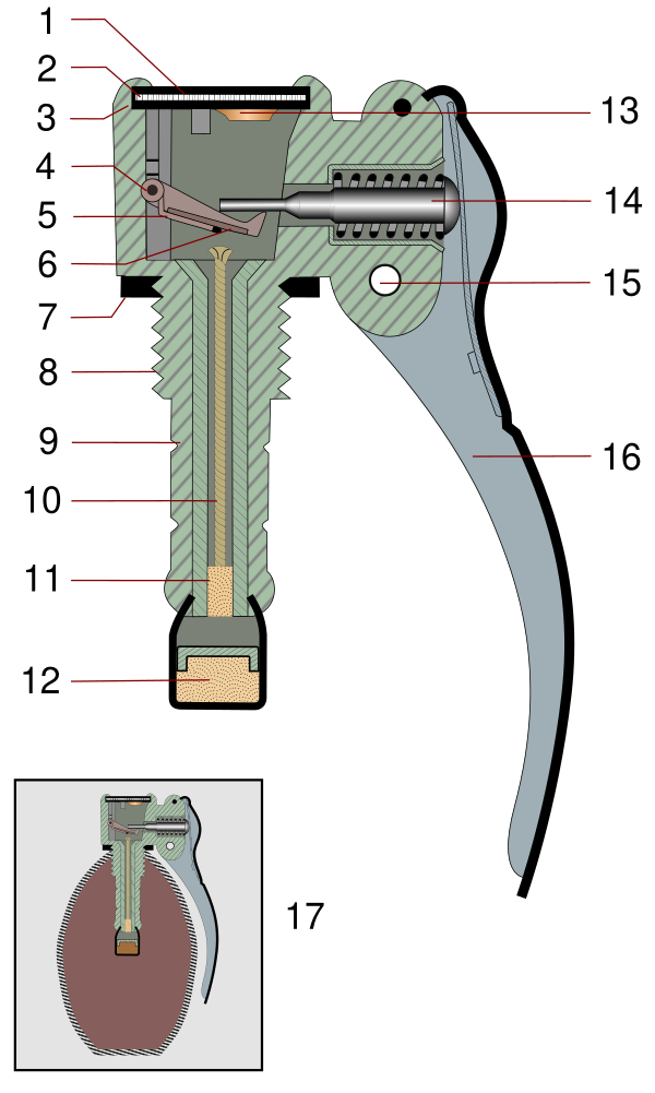 Schema Grenade I18n Vector