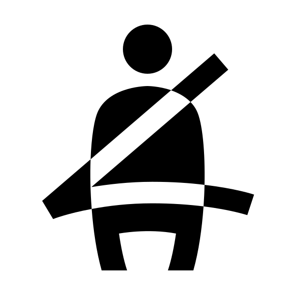 Seatbelt