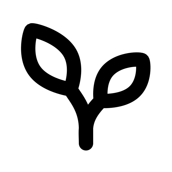 Seedling
