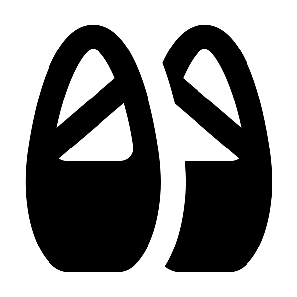 Shoe Ballet