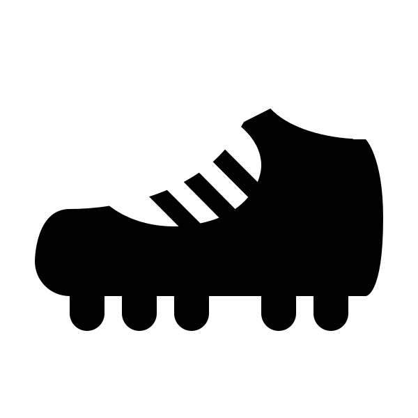 Shoe Cleat