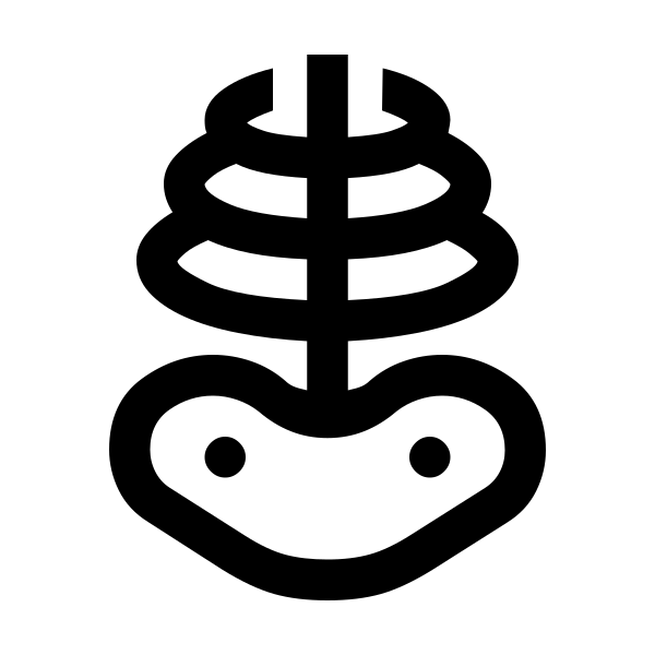 Skeleton