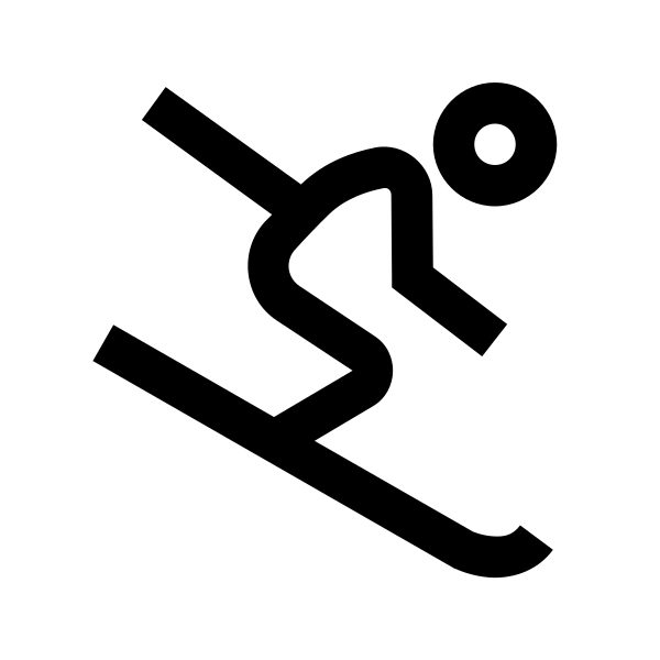 Skiing Solid Vector