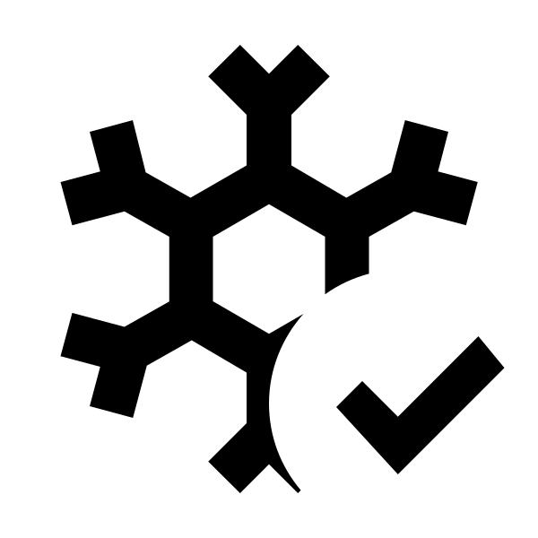Snowflake Check