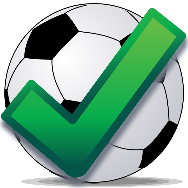 Soccerball Shad Check
