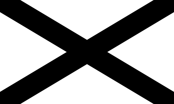 Southern Nationalist Flag