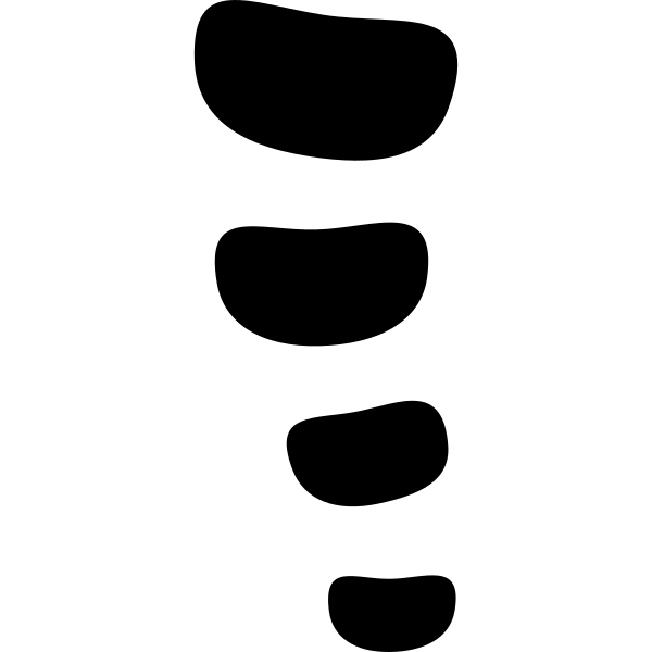 Spine