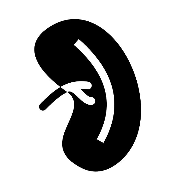 Spleen