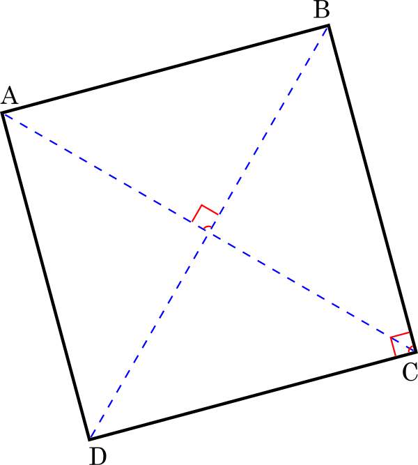 SQUARE SHAPE Vector