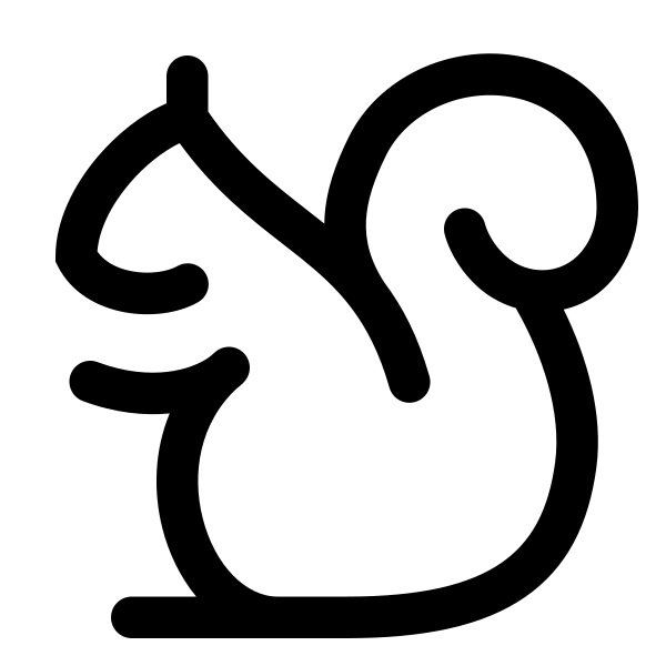 Squirrel 24