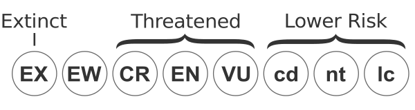Status Iucn2.3 Blank