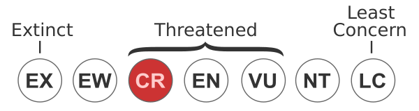 Status Iucn3.1 CR