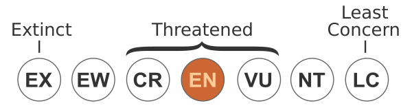 Status Iucn3.1 EN