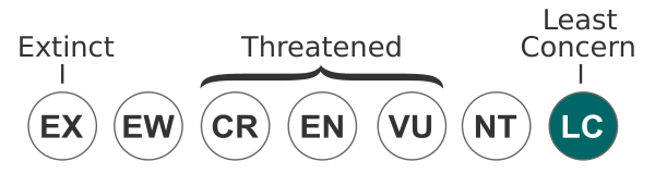 Status Iucn3.1 LC