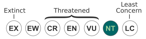 Status Iucn3.1 NT