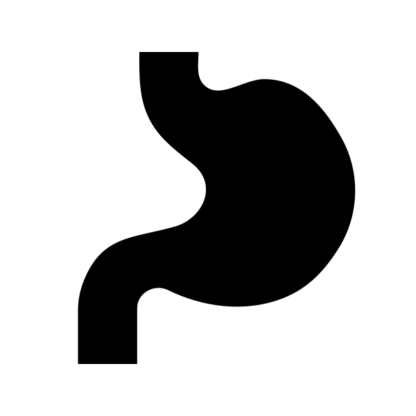 Stomach