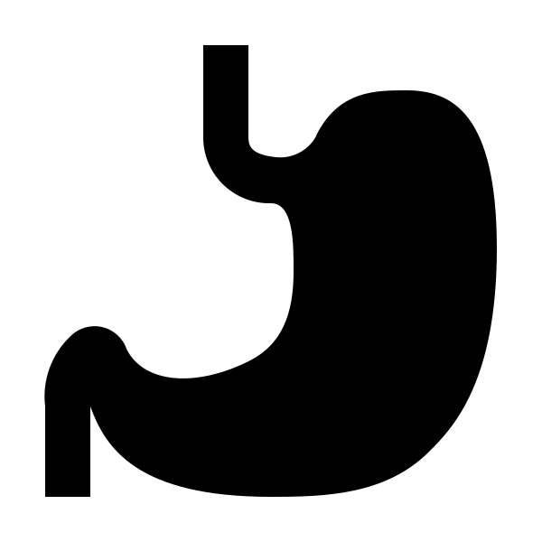 Stomach