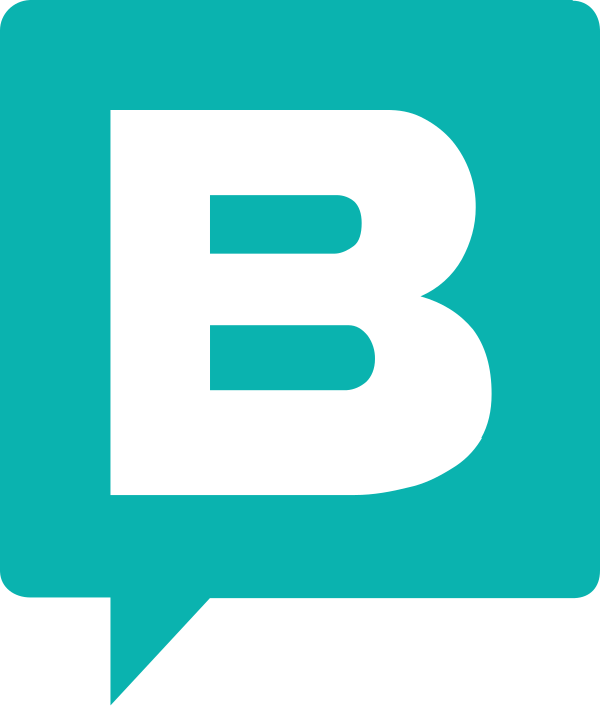 Storyblok Icon