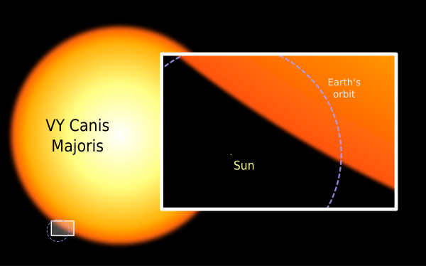 Sun And VY Canis Majoris Vector