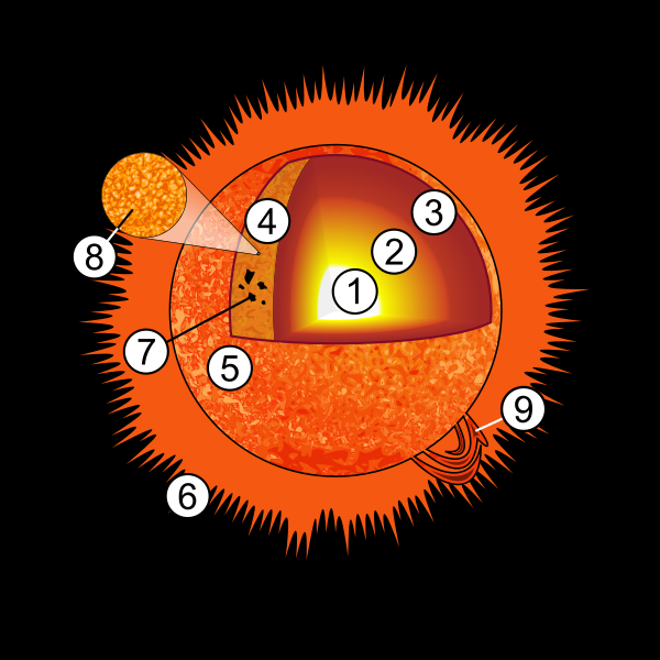 Sun Diagram Vector