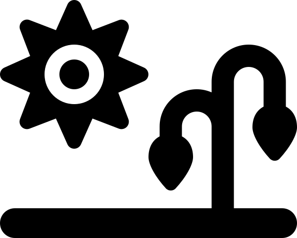 Sun Plant Wilt