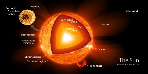 Sun Poster Vector