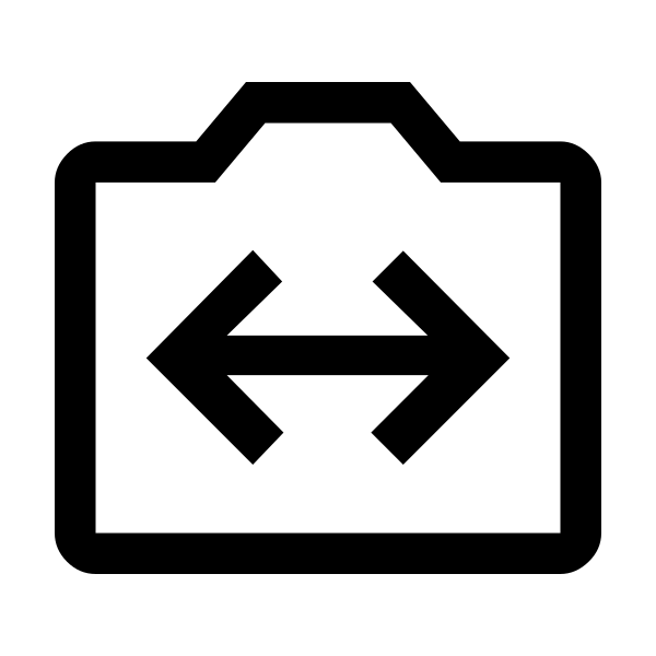 Switch Camera