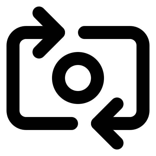 Switch Camera