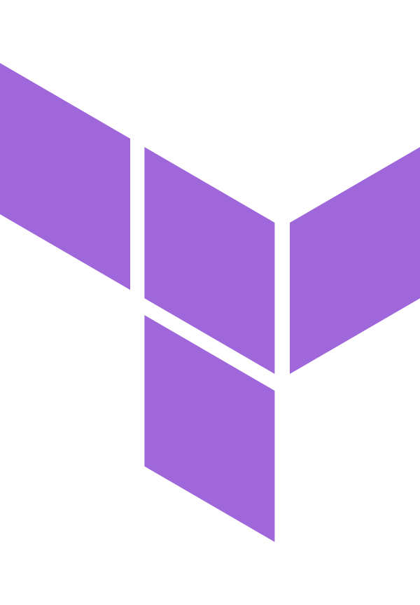 Terraform Vector