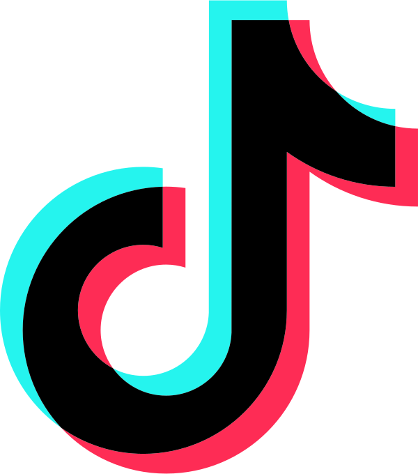 Tiktok Icon Light Vector