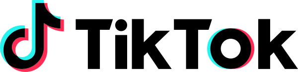 Tiktok Wordmark Light Vector