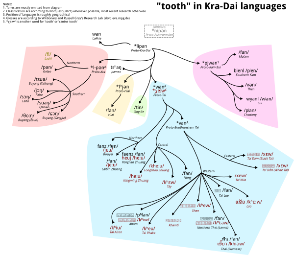"tooth" In Kra Dai Languages