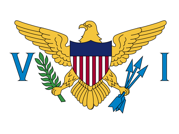Vi