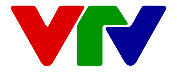 Vietnam Television Logo From 2013