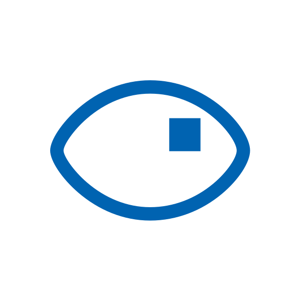 Vision Category