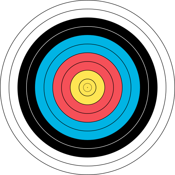WA 80 Cm Archery Target