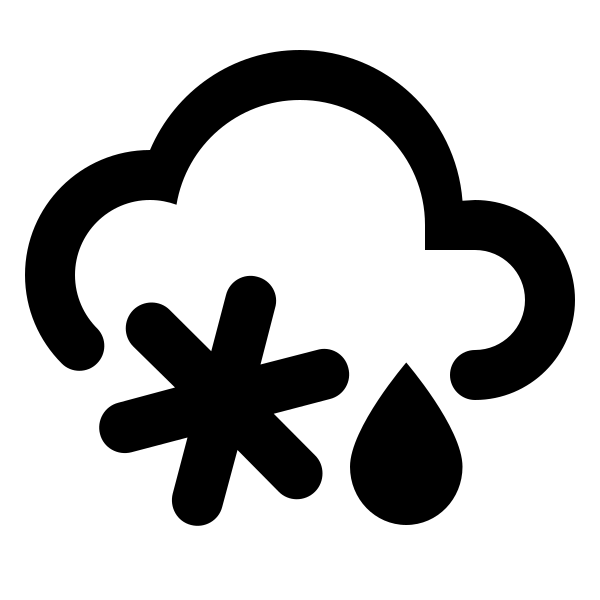 Weather Snowy Rainy