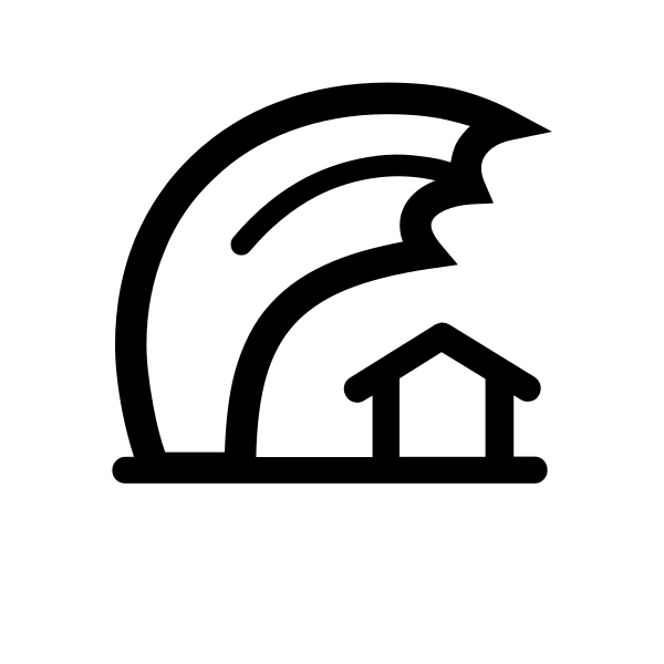 Wi Tsunami